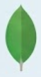 MongoDB Logo
